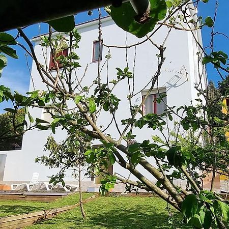 Doninos, Maravilla Del Mundo, Te Esperamos. フェロル エクステリア 写真
